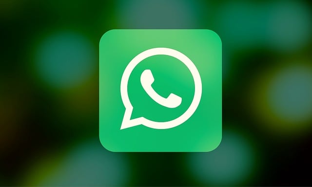 WhatsApp logo used for WhatsApp marketing